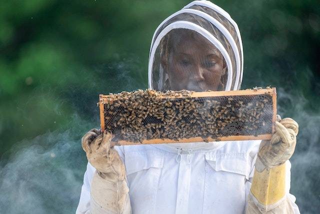 manfaat madu hitam. Sumber: pexels.com/Mark Stebnicki