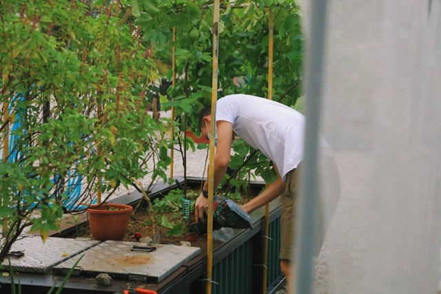 Jelaskan Tujuan Urban Farming, Sumber: Unsplash/Gigi