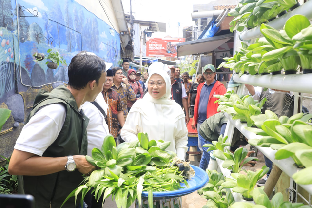 Menaker Ida Fauziyah saat meninjau Pelatihan Berbasis Kompetensi (PBK) serta melakukan panen hasil tanaman hidroponik warga di Kelurahan Tanah Tinggi, Johar Baru Jakarta Pusat, Sabtu (2/9/2023). Foto: Kemnaker