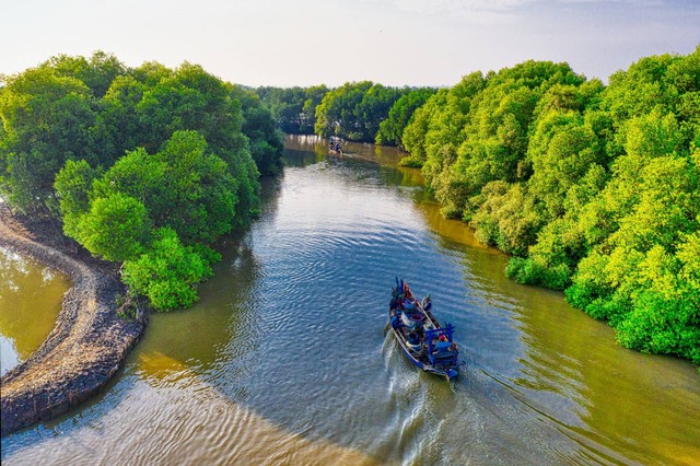 Ilustrasi fungsi ekologis hutan mangrove, sumber: pexels.com/Tom Fisk