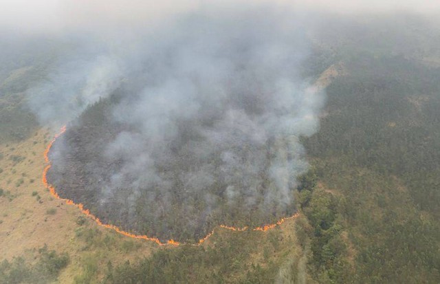 Kebakaran hutan dan lahan (karhutla) Gunung Arjuno, Jawa Timur meluas hingga 1.300 hektare. Foto: Pemprov Jatim 