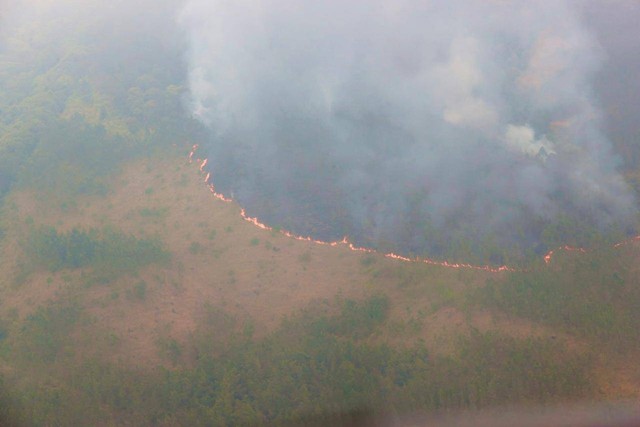 Kebakaran hutan dan lahan (kahutla) Gunung Arjuno, Jawa Timur meluas hingga 1.300 hektar. Foto: Pemprov Jatim 