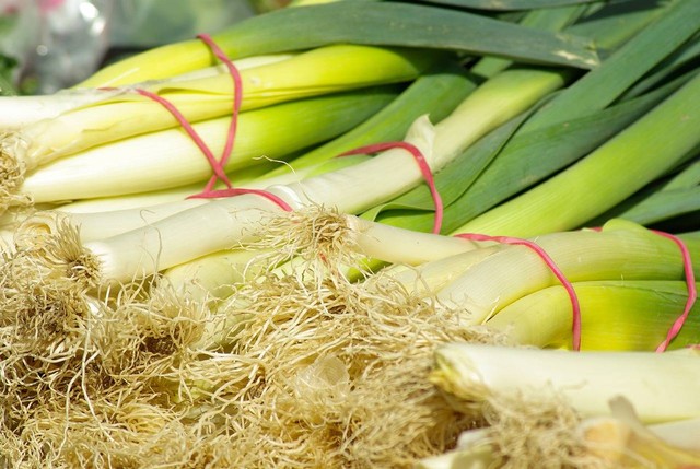 Ilustrasi Cara Menyimpan Daun Bawang. Pixabay.com/jackmac34