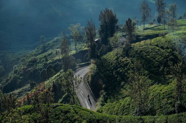 Ilustrasi Objek Wisata Bandung Terbaru Sumber Unsplash/Aldri Suganda
