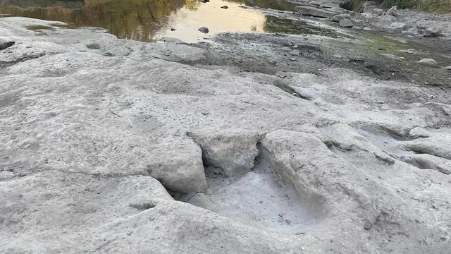 Jejak kaki dinosaurus terbesar di Bumi ditemukan di Texas.  Foto: Dinosaur Valley State Park via Facebook