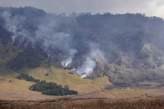Kondisi padang savana yang terbakar di Kawasan Taman Nasional Bromo Tengger Semeru (TNBTS), Malang, Jawa Timur, Rabu (30/8/2023). Foto: ANTARA FOTO/Irfan Sumanjaya