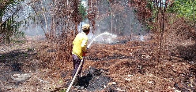 Saat tim patroli hutan desa berhasil padamkan Api Karhutla di Lahan Warga. (Foto dok : Juhari/ketua Tim Patroli LPHD Nipah Kuning)