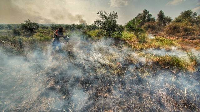 Proses pemadaman yang dilakukan warga di lahan kebun yang terbakar di Desa Bakung, Inderalaya Utara, Kabupaten Ogan Ilir, Sumatera Selatan. Kamis (31/8) Foto: ary priyanto/urban id