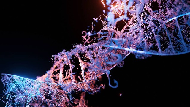 Ilustrasi fungsi dna dan rna. Sumber: www.unsplash.com