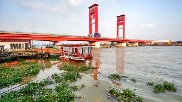 Tumpukan eceng gondok yang mengambang di pinggir Sungai Musi Palembang yang terlihat pada sore hari, Sabtu (9/9) Foto: ary priyanto/urban id