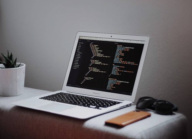 Ilustrasi Kunci Jawaban Informatika Kelas 8 Halaman 55 Kurikulum Merdeka Sumber Unsplash/Goran Ivos