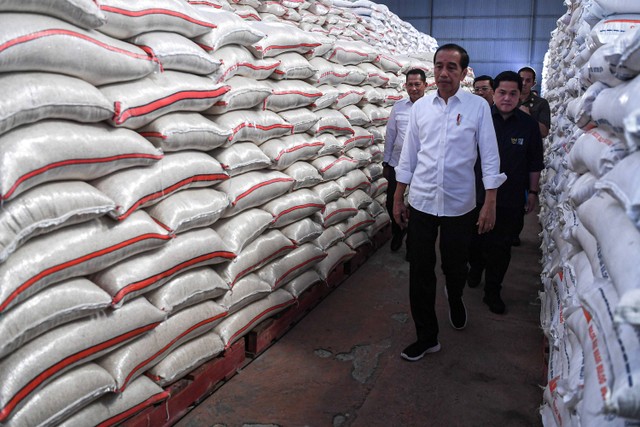 Presiden Joko Widodo (depan) didampingi Menteri BUMN Erick Thohir (belakang kanan) meninjau ketersediaan beras di Gudang Bulog Dramaga, Kabupaten Bogor, Jawa Barat, Senin (11/9/2023). Foto: Sigid Kurniawan/Antara Foto