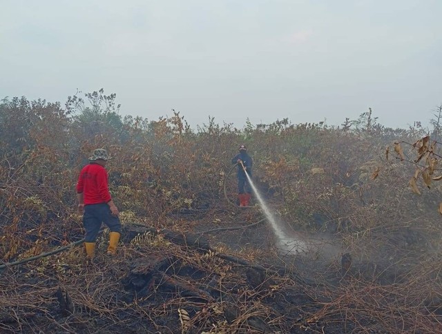 Kebakaran lahan di Telayar Desa Sejegi, Kecamatan Mempawah Timur, Kabupaten Mempawah. Foto: M Zain/Hi!Pontianak