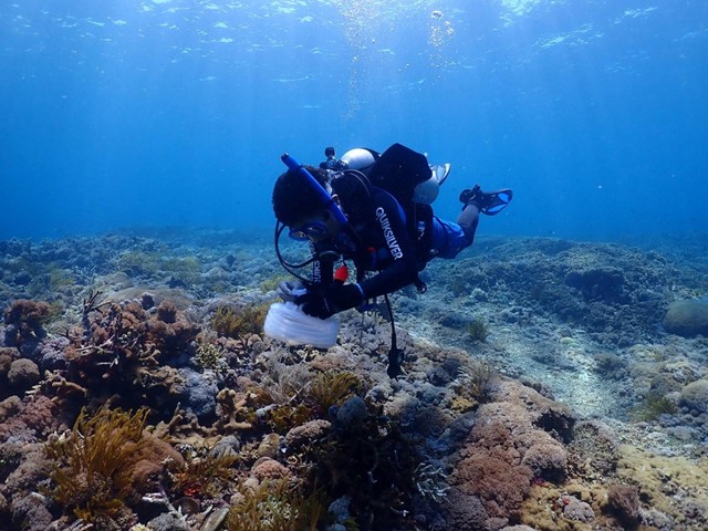 PKSPL IPB Jalin Kerjasama dengan PT. AMNT Kembangkan Wisata Bahari di Gili Balu