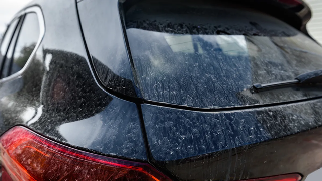 Jejak 'hujan darah' di mobil warga. Foto: Natallia Ploskaya/shutterstock