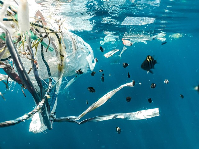 Ilustrasi Puisi tentang Penanganan Sampah. Sumber: Unsplash/Naja Bertolt Jensen