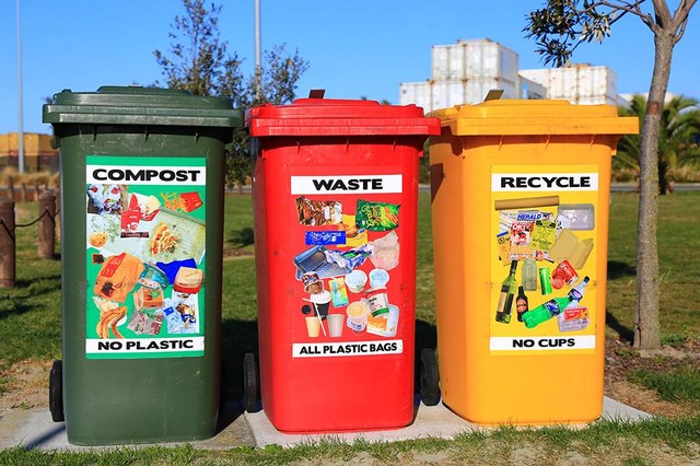 Ilustrasi sebuah sampah / limbah basah yang berasal dari mahluk hidup sering dipakai dalam kerajinan limbah disebut sampah...Sumber: www.unsplashc.om