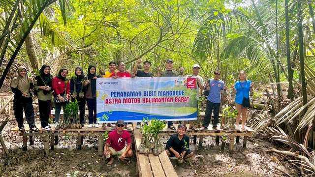 Astra Motor Kalbar Tanam 500 Bibit Mangrove di Sungai Kupah. Foto: Dok. Astra Motor Kalbar