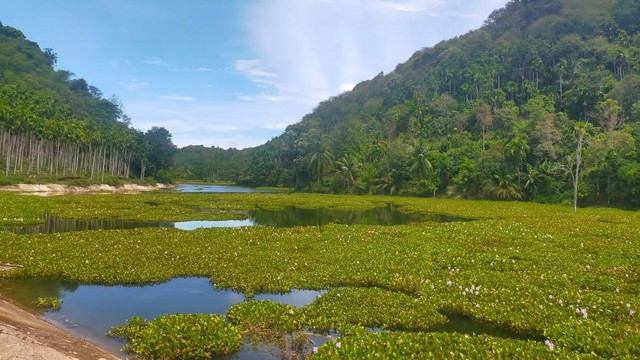 Embung Alue Bareuh di Kemukiman Paloh, Kecamatan Padang Tiji, Pidie, Provinsi Aceh. Foto: dok. Teuku Muttaqin