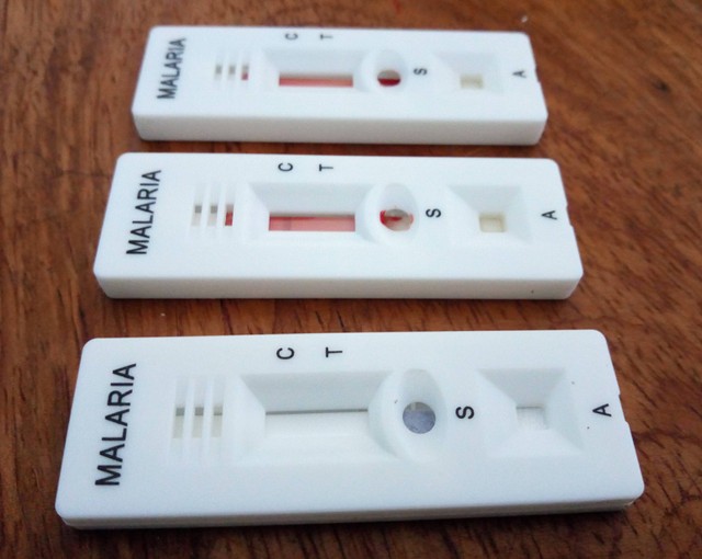 Contoh Rapid Test Deteksi Parasit Malaria (Sumber: Wikimedia Commons)