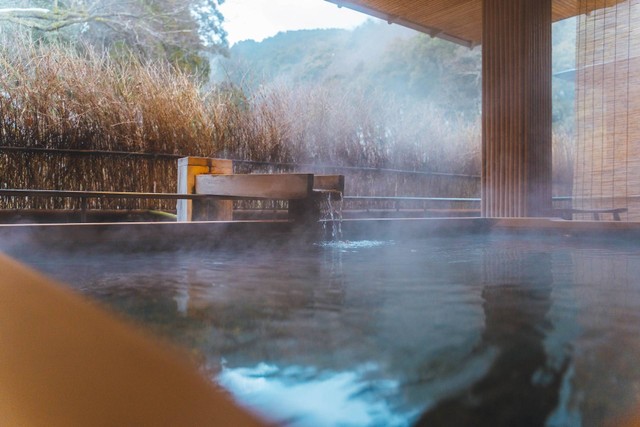 Ilustrasi Tempat Healing di Bandung Rasa Jepang. Sumber: Unsplash/Romeo