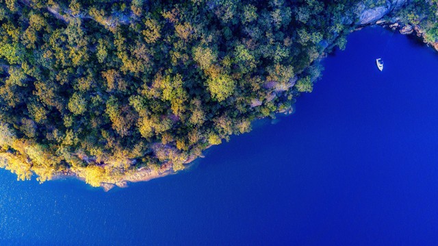 Ilustrasi: Pendekatan Ekologi dalam Geografi. Sumber: Tom Piotrowski/Pexels.com