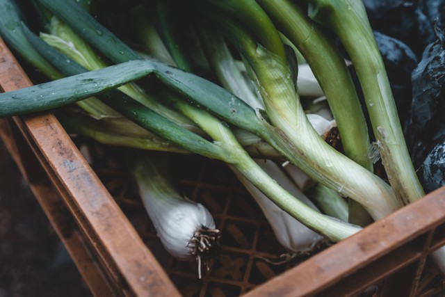 Cara Menanam Bawang Daun, Foto: Unsplash/ Jonathan Kemper