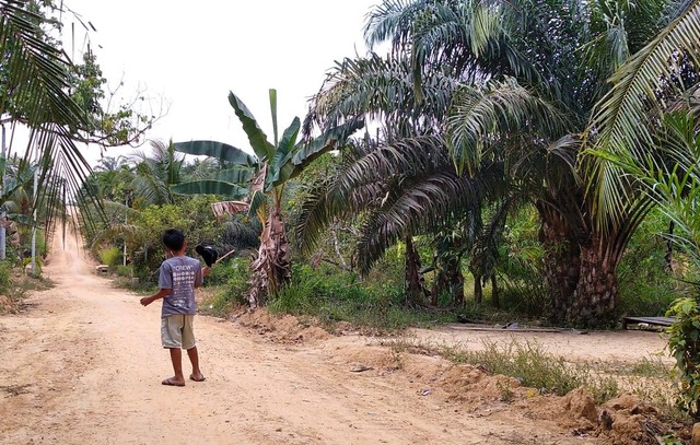 Permukiman di Hutan Harapan yang dikeliling kelapa sawit. (Foto: Sobar Alfahri)