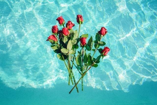 Ilustrasi cara pakai air mawar. Foto: Unsplash. 