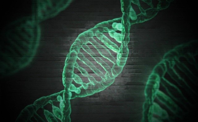 Ilustrasi perbedaan kromosom, DNA, dan gen. Sumber: Pixabay / madartzgraphics
