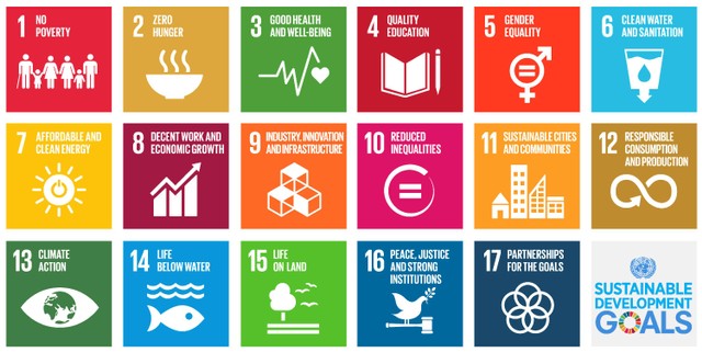 17 Tujuan Pembangunan Berkelanjutan atau The Sustainable Development Goals. Sumber: Unicef.org