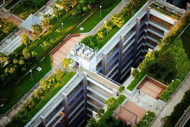 Sejarah Urban Farming dengan Teknik Rooftop Garden. Foto hanya ilustrasi. Sumber foto: Unsplash/Chuttersnap