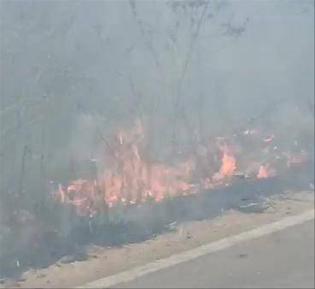 Kebakaran lahan di Trikora Karang Anyar, Jati Agung, Lampung Selatan, Jumat (22/9). | Foto: istimewa