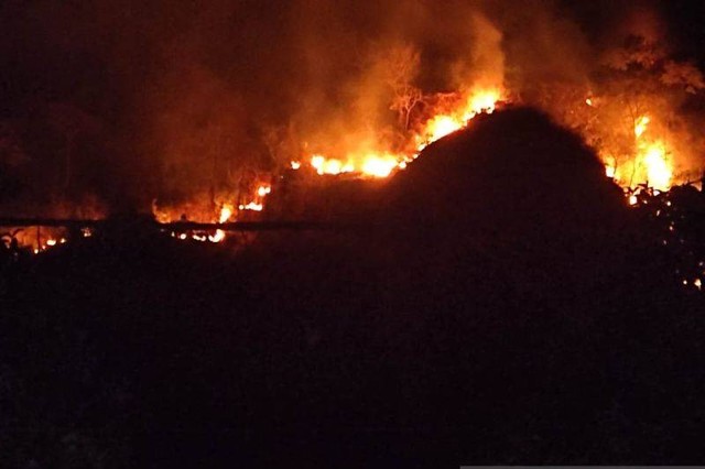 Lereng Gunung Jayanti yang berada di Sukabumi terbakar. Foto: Antara