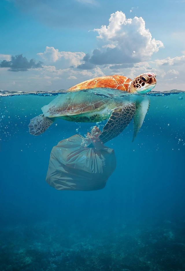 Marine Plastic Debris. Foto: Pixabay/TheDigitalArtist