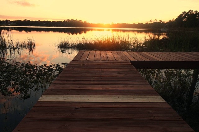 Sunset Avenue / Foto hanya ilustrasi bukan tempat sebenarnya. Sumber: https://unsplash.com