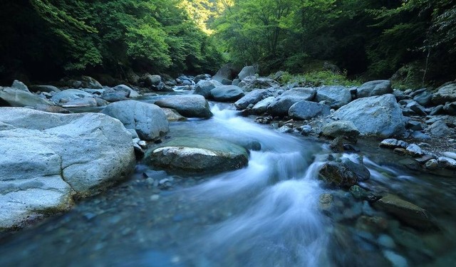 Ilustrasi Caption Hari Sungai Sedunia Sumber Unsplash/Kazuend