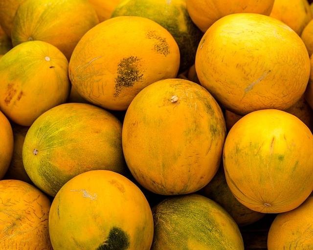 Ilustrasi cara budidaya melon golden. Foto: Pixabay