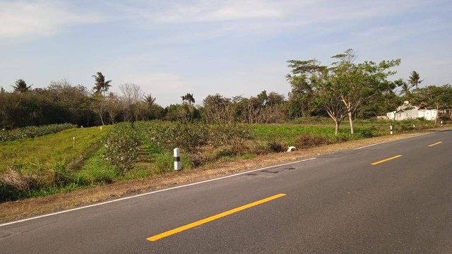 Jalur Pansel Kebumen. Foto: Koleksi Pribadi 