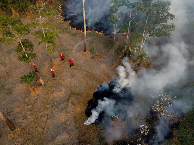 Pemadaman kebakaran di kawasan hutan di distrik Cacau Pirera, Iranduba, negara bagian Amazonas, Brasil pada Senin (25/9/2023). Foto: Michael Dantas/AFP