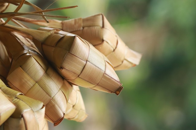 Ilustrasi Cara Membuat Ketupat, Foto: Unsplash/Mufid Majnun