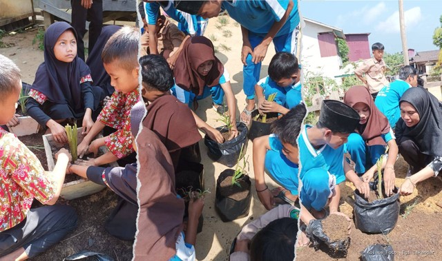 Foto saat adik-adik saat menanam TOGA. (Foto dok. Rudi, Pit-Yayasan Palung/Kolase foto: Egi Iskandar).