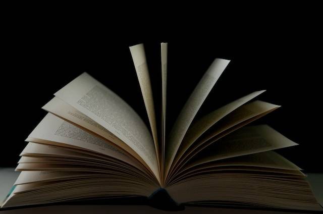Ilustrasi buku bacaan dengan tema seni budaya dan ekonomi, sumber foto: unsplash.com/Mikołaj