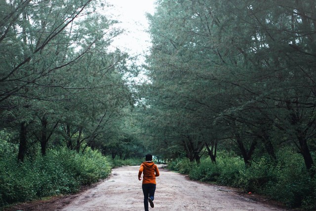 Ilustrasi Tempat Jogging di Bintaro. Sumber: Unsplash/Gemilang Sinuyudhan