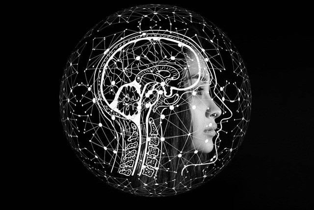 Ilustrasi jenis saraf kranial beserta fungsinya pada otak manusia. Sumber: Pixabay/Geralt