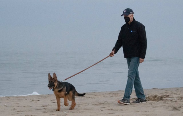 Presiden AS Joe Biden mengajak Commander, anjingnya berjalan-jalan di pantai di Pantai Rehoboth, Delaware pada 28 Desember 2021. Foto: Saul Loeb/AFP