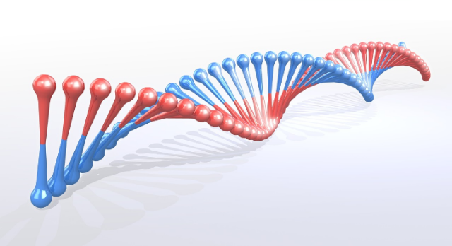 Ilustrasi gambar cabang ilmu biologi yang mempelajari tentang penurunan sifat disebut genetika. Sumber foto: pixabay/4961598