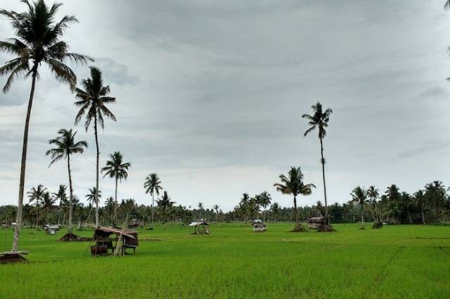 Ilustrasi tokoh perang tapanuli, sumber foto: Mad Skillz by pexels.com