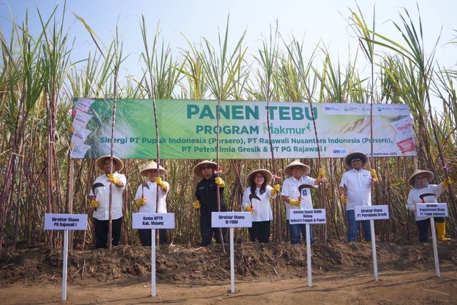 ID FOOD panen tebu program Makmur. Foto: Dok. ID FOOD