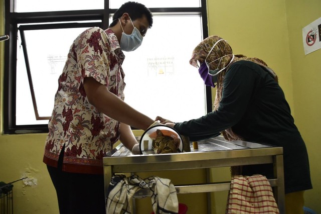 Layanan kesehatan hewan peliharaan secara gratis di UPTD Klinik Hewan Surabaya. Foto: Diskominfo Surabaya
